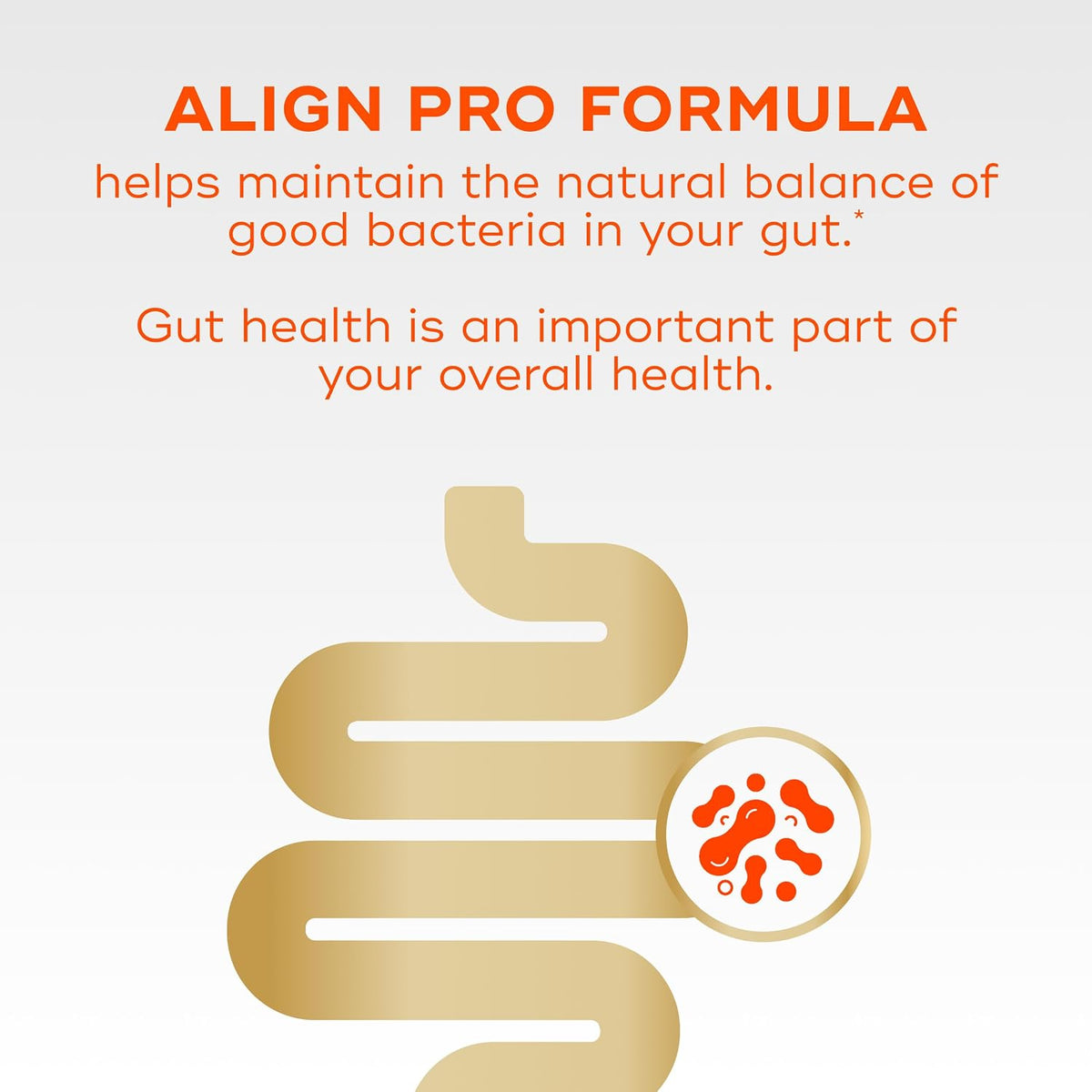 Align 24/7 Digestive Support*§ Probiotic Supplement